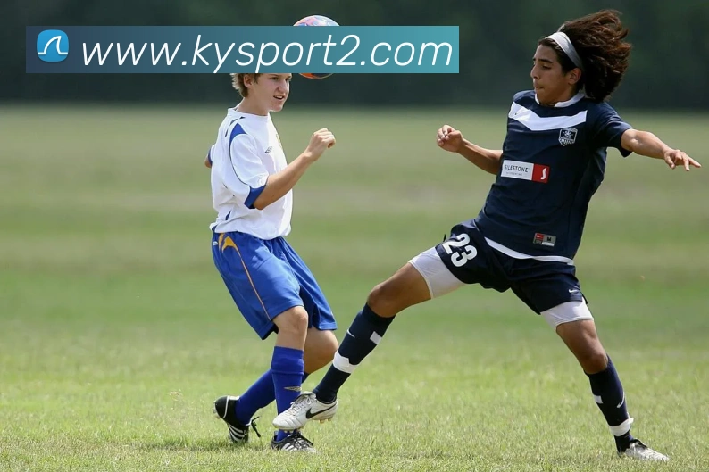 开云体育服务体系